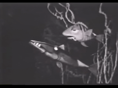 Diver Dan (1960) - S01E06 - Sargasso Sea.mp4.3.gif