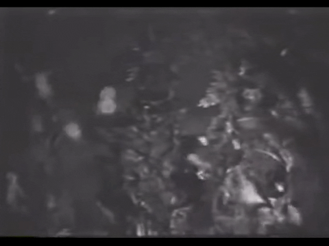 Diver Dan (1960) - S01E06 - Sargasso Sea.mp4.5.gif