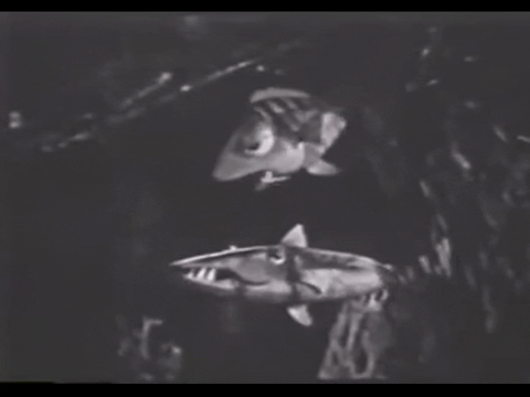 Diver Dan (1960) - S01E06 - Sargasso Sea.mp4.6.gif