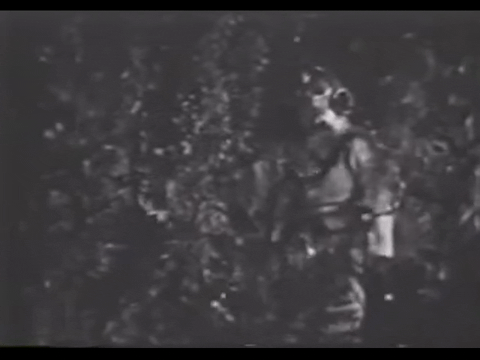 Diver Dan (1960) - S01E06 - Sargasso Sea.mp4.7.gif