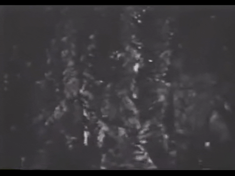 Diver Dan (1960) - S01E06 - Sargasso Sea.mp4.9.gif