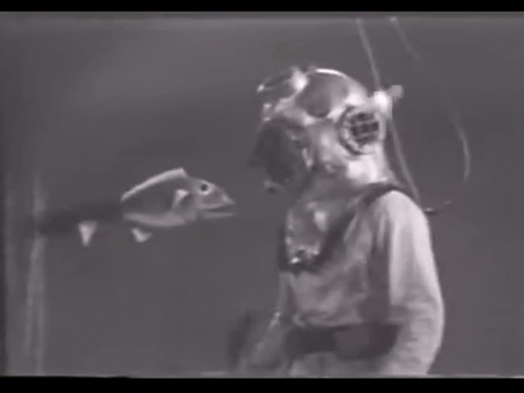 Diver Dan (1960) - S01E07 - Shell O Phone.mp4.7.gif