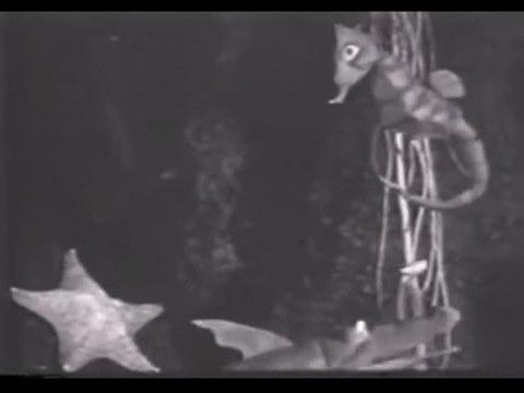 Diver Dan (1960) - S01E09 - Murder Ink.mp4.5.gif