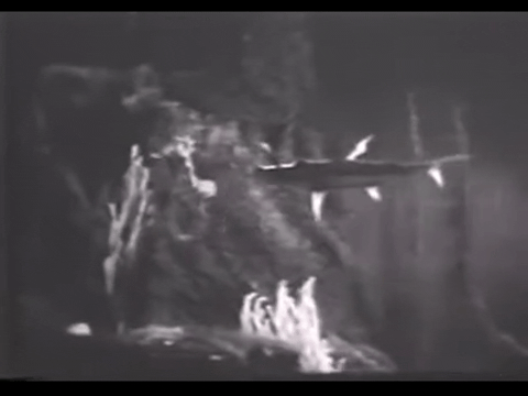 Diver Dan (1960) - S01E09 - Murder Ink.mp4.6.gif