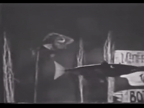 Diver Dan (1960) - S01E10 - Bottomless Pit.mp4.3.gif