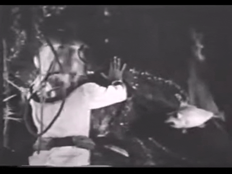 Diver Dan (1960) - S01E11 - Teetering Rock.mp4.3.gif