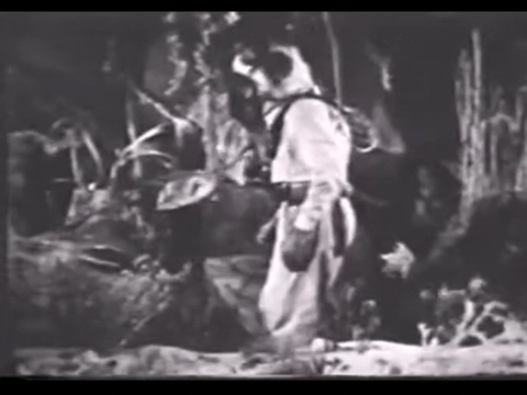 Diver Dan (1960) - S01E11 - Teetering Rock.mp4.7.gif