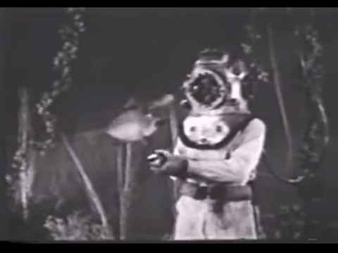 Diver Dan (1960) - S01E13 - An Unusual Treasure D.mp4.3.gif