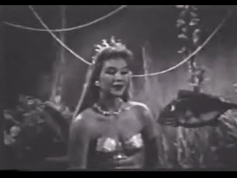 Diver Dan (1960) - S01E13 - An Unusual Treasure D.mp4.5.gif