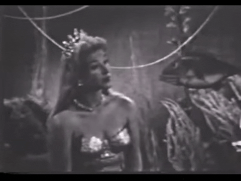 Diver Dan (1960) - S01E13 - An Unusual Treasure D.mp4.6.gif