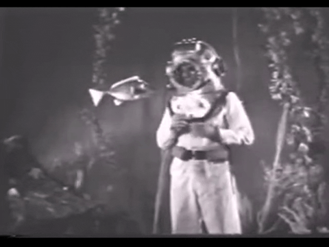 Diver Dan (1960) - S01E14 - Triggers Revenge.mp4.1.gif