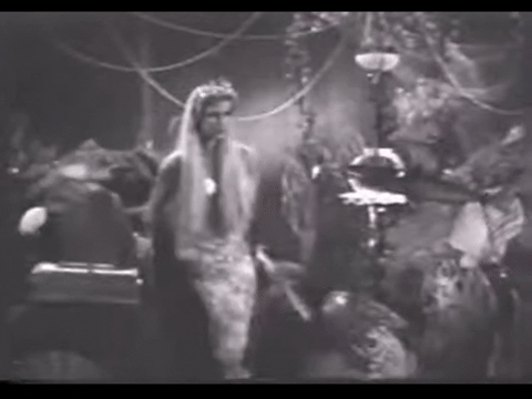 Diver Dan (1960) - S01E14 - Triggers Revenge.mp4.4.gif