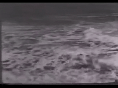 Diver Dan (1960) - S01E15 - An Unusual Fish.mp4.10.gif