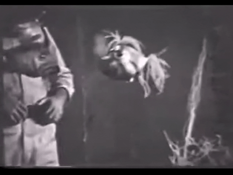 Diver Dan (1960) - S01E15 - An Unusual Fish.mp4.3.gif