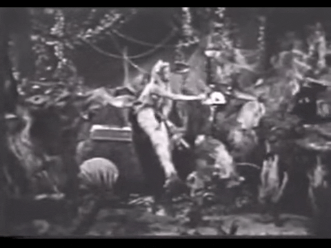 Diver Dan (1960) - S01E15 - An Unusual Fish.mp4.4.gif