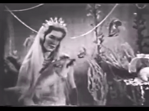 Diver Dan (1960) - S01E15 - An Unusual Fish.mp4.7.gif