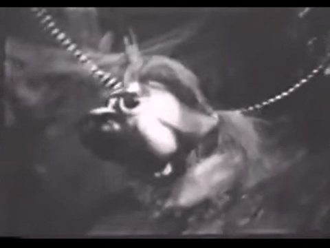 Diver Dan (1960) - S01E16 - The Verdict.mp4.1.gif