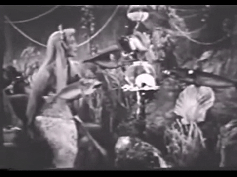 Diver Dan (1960) - S01E16 - The Verdict.mp4.2.gif