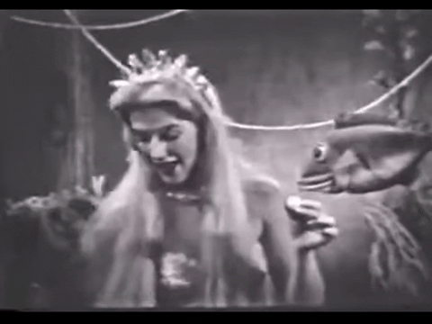 Diver Dan (1960) - S01E16 - The Verdict.mp4.3.gif