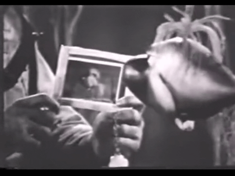 Diver Dan (1960) - S01E16 - The Verdict.mp4.5.gif