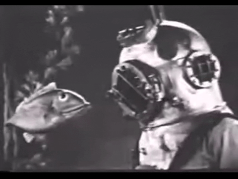 Diver Dan (1960) - S01E16 - The Verdict.mp4.6.gif