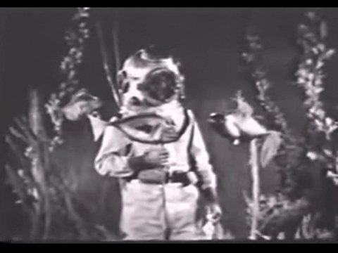 Diver Dan (1960) - S01E16 - The Verdict.mp4.7.gif