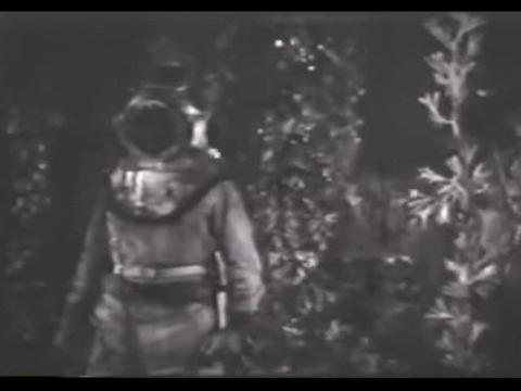 Diver Dan (1960) - S01E17 - Lost in the Sargasso Sea.mp4.2.gif