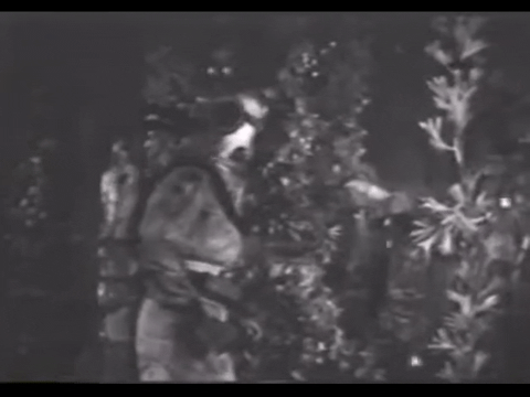 Diver Dan (1960) - S01E17 - Lost in the Sargasso Sea.mp4.3.gif