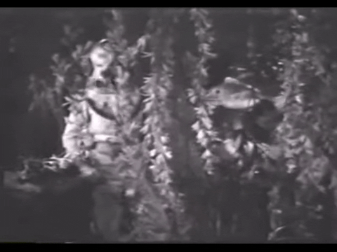 Diver Dan (1960) - S01E17 - Lost in the Sargasso Sea.mp4.4.gif