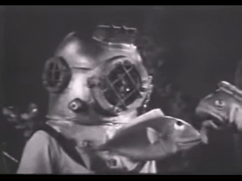 Diver Dan (1960) - S01E18 - The Trap.mp4.1.gif