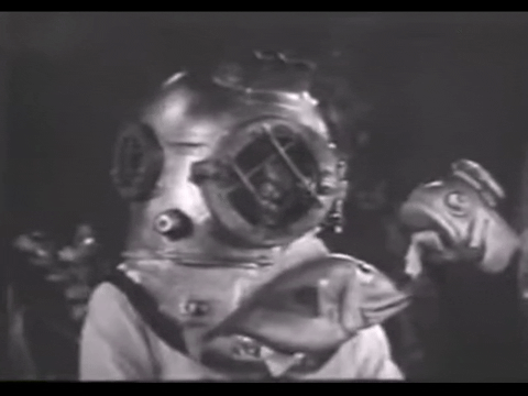 Diver Dan (1960) - S01E18 - The Trap.mp4.2.gif