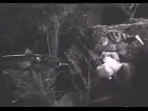 Diver Dan (1960) - S01E18 - The Trap.mp4.6.gif