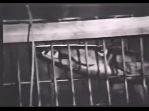 Diver Dan (1960) - S01E19 - The Trap is Sprung.mp4.4.gif