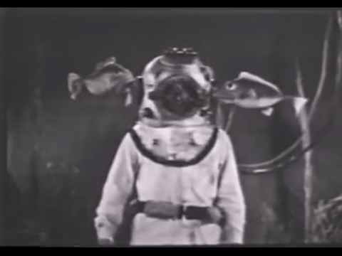 Diver Dan (1960) - S01E19 - The Trap is Sprung.mp4.7.gif