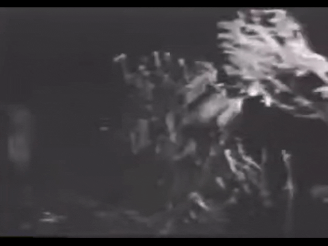 Diver Dan (1960) - S01E19 - The Trap is Sprung.mp4.9.gif