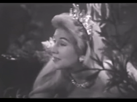 Diver Dan (1960) - S01E20 - Riddle of the Hermit.mp4.1.gif