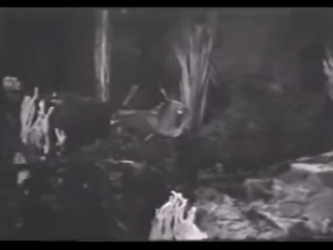 Diver Dan (1960) - S01E20 - Riddle of the Hermit.mp4.5.gif