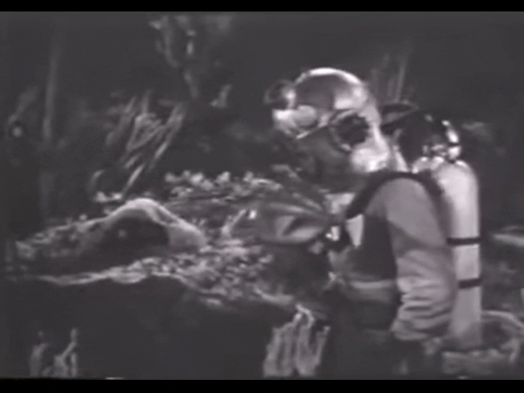 Diver Dan (1960) - S01E20 - Riddle of the Hermit.mp4.7.gif