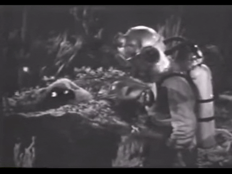 Diver Dan (1960) - S01E20 - Riddle of the Hermit.mp4.8.gif