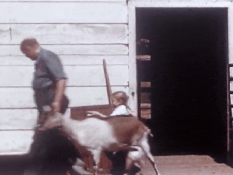 Fire! Patty Learns What To Do (1951).mp4.3.gif