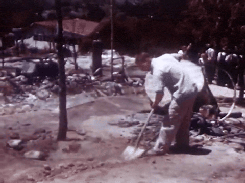 Fire! Patty Learns What To Do (1951).mp4.9.gif