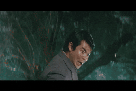 Gamera VS. Gyaos (1967).mp4.2.gif