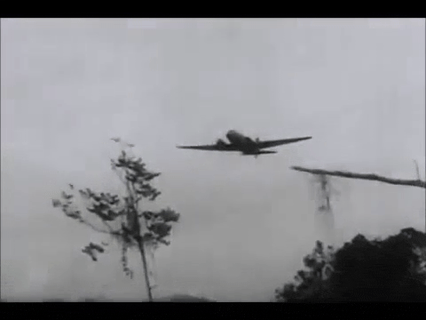 Glen or Glenda (1952).mp4.2.gif