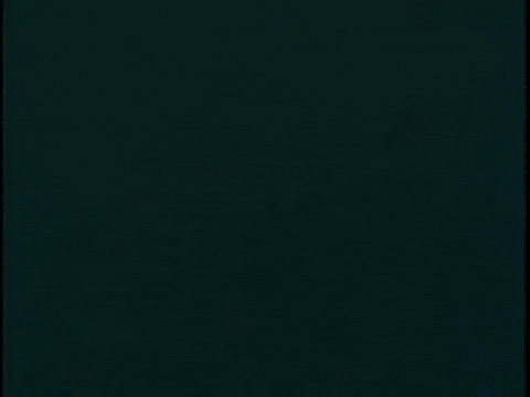 Goldilocks and the Three Bears (1958).mp4.10.gif