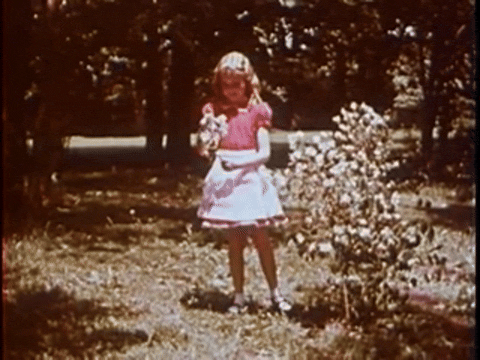 Goldilocks and the Three Bears (1958).mp4.3.gif