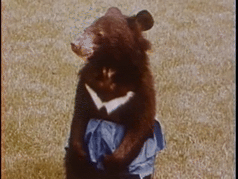 Goldilocks and the Three Bears (1958).mp4.7.gif