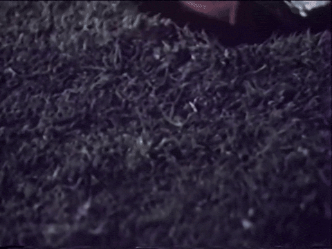 Grave of the Vampire (1972).mp4.1.gif