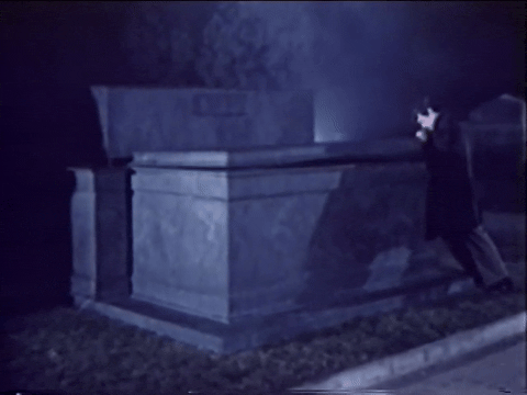 Grave of the Vampire (1972).mp4.3.gif