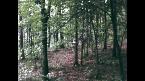Hansel and Gretel: An Appalachian Version (1975).mp4.2.gif