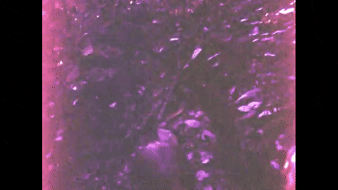 Hansel and Gretel: An Appalachian Version (1975).mp4.4.gif